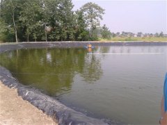 养殖防渗膜介绍/特点/施工工艺