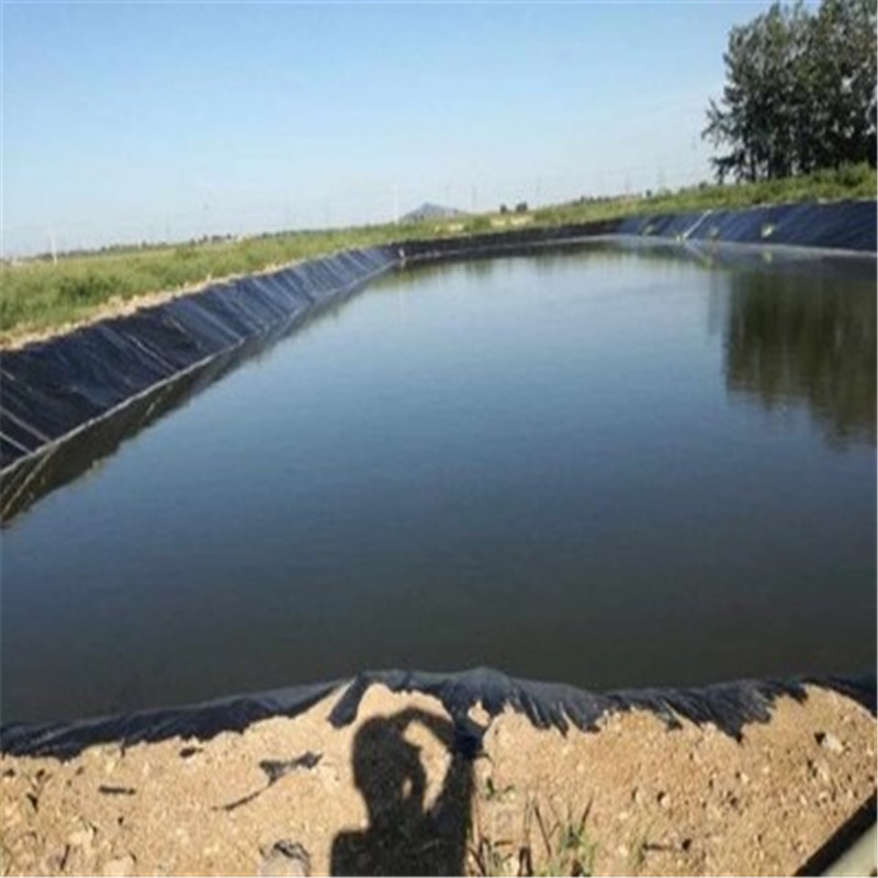 鱼塘养殖才有防渗膜的优势