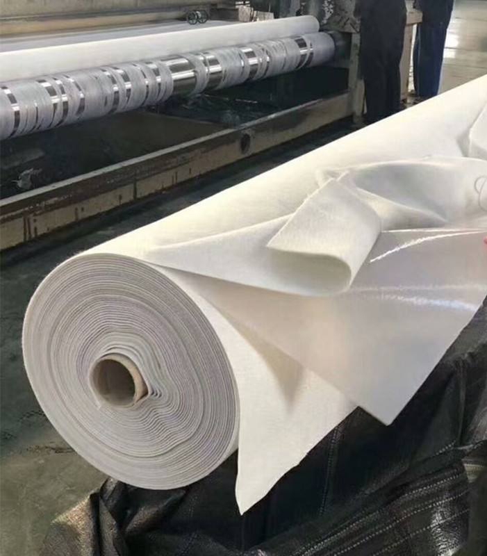 如何选择复合土工膜厂家